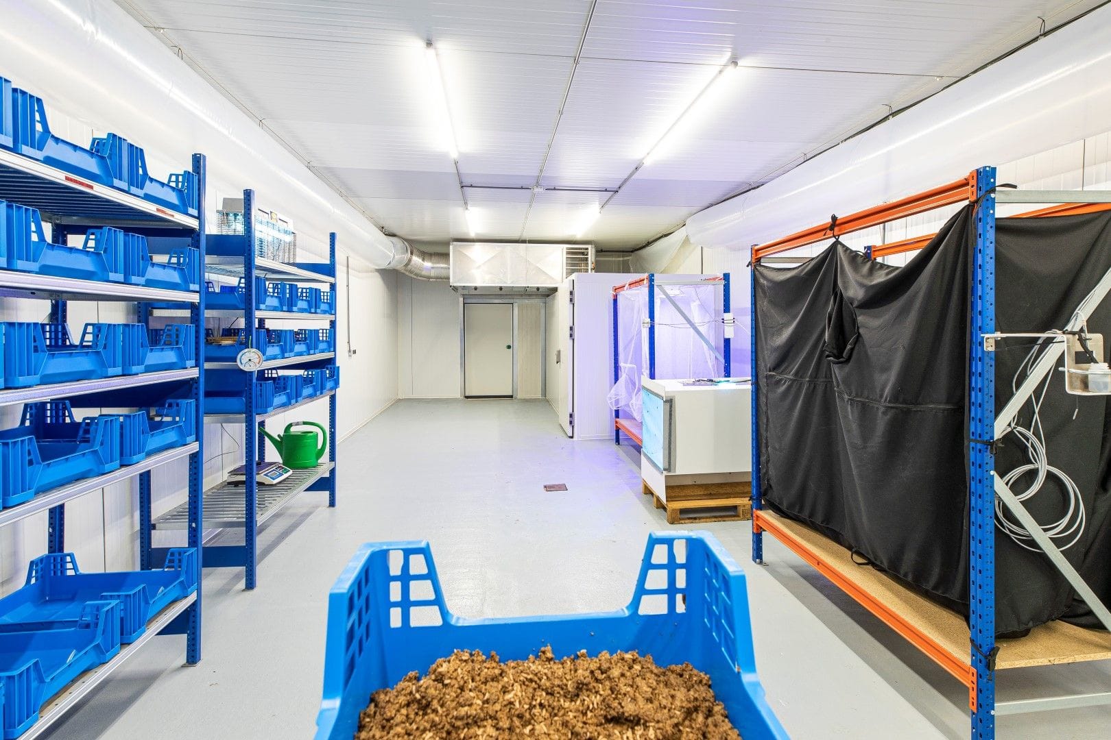 Are crates still the standard for commercial BSF production?