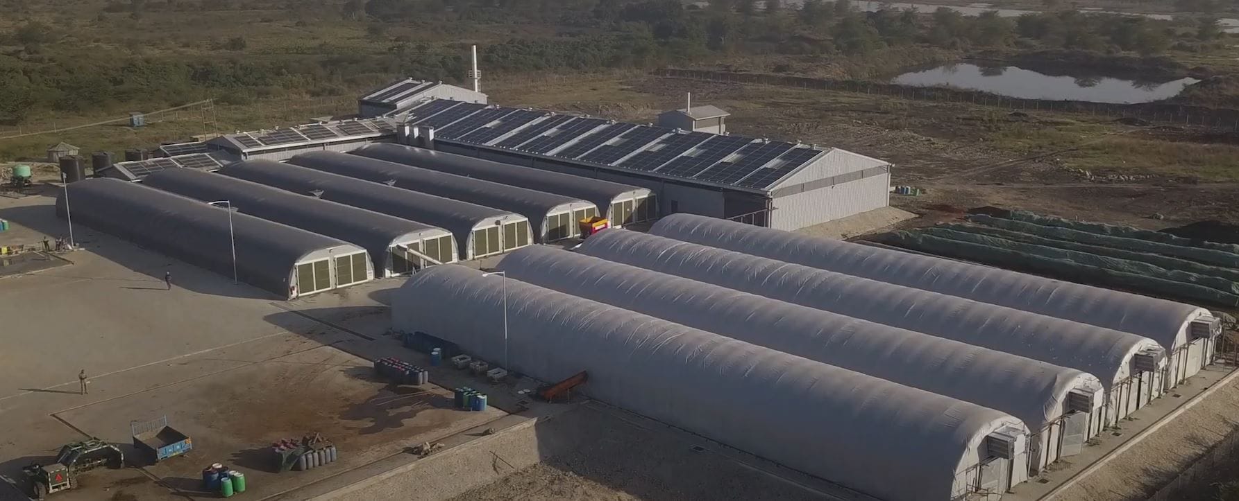 Turnkey BSF Farm or Individual Equipment? How to Make the Right Commercial Decision
